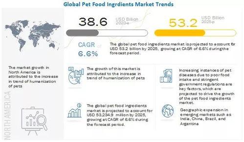 最新宠物爆料2025 第2张 最新宠物爆料2025 第2张